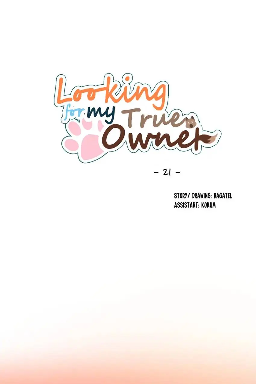 Looking For My True Owner Chapter 21 - page 1