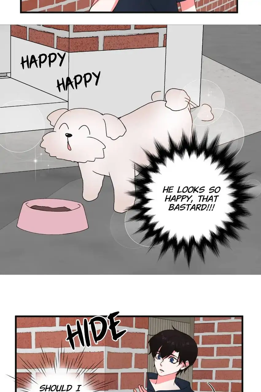 Looking For My True Owner Chapter 20 - page 14