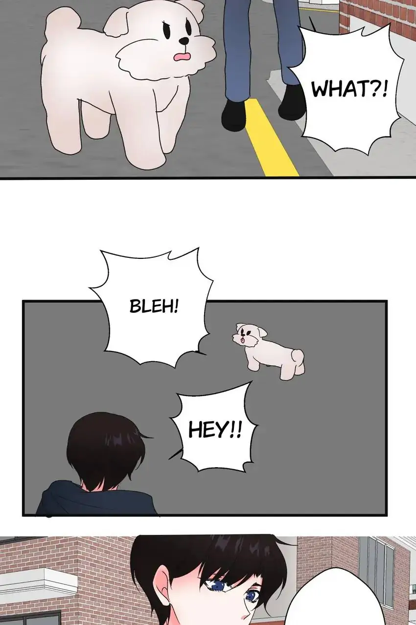 Looking For My True Owner Chapter 20 - page 25