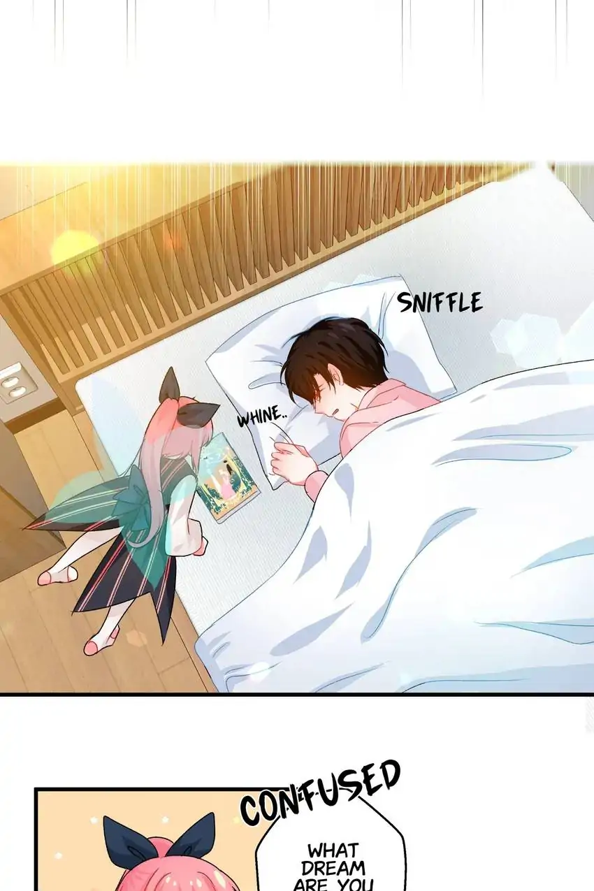 Looking For My True Owner Chapter 19 - page 13