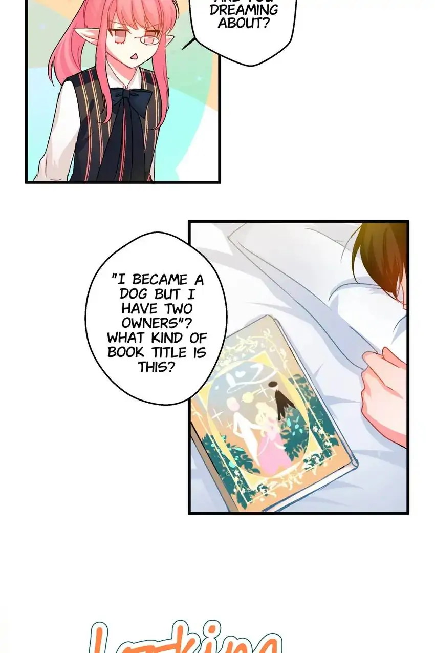 Looking For My True Owner Chapter 19 - page 14