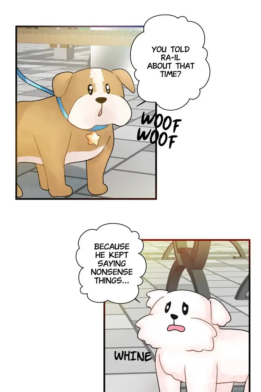 Looking For My True Owner Chapter 19 - page 16