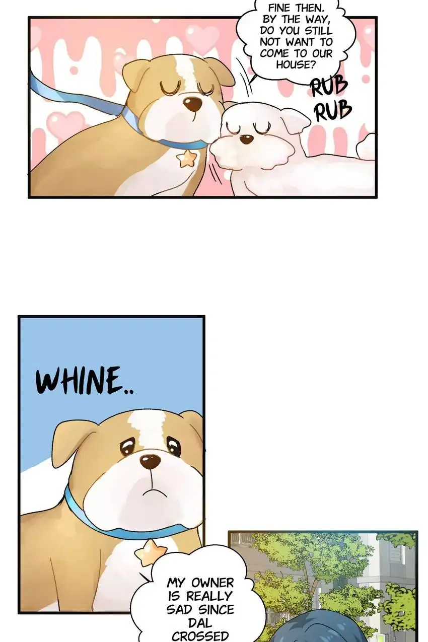 Looking For My True Owner Chapter 19 - page 18