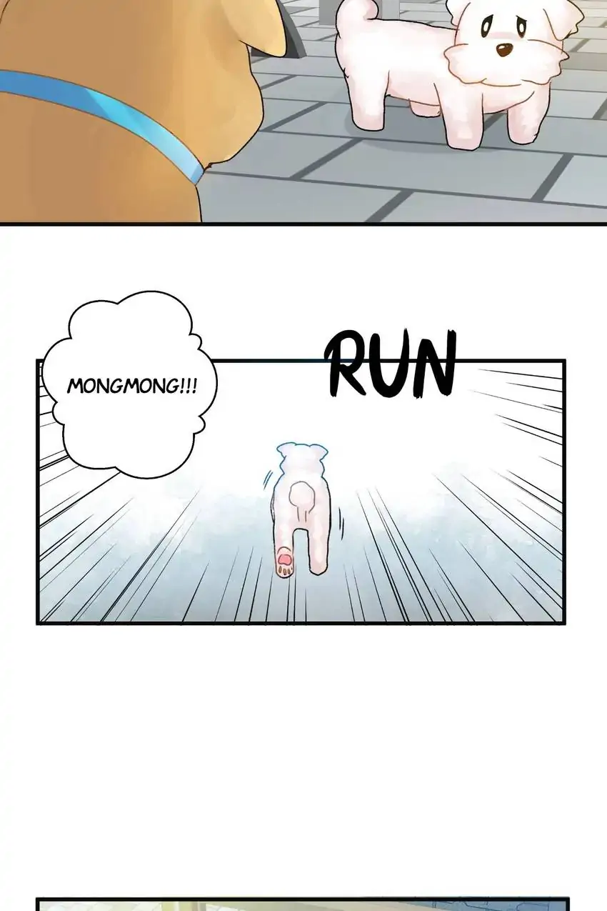 Looking For My True Owner Chapter 19 - page 21