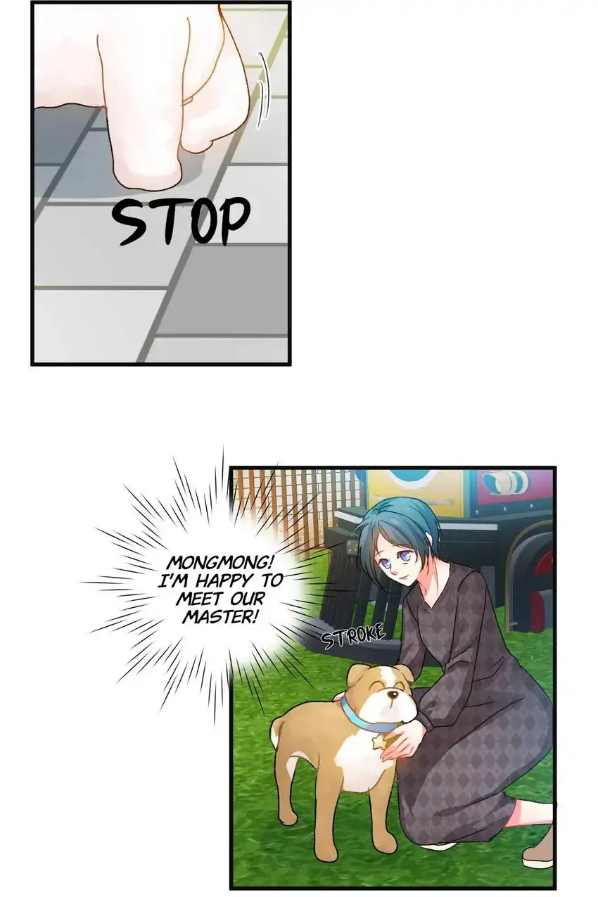 Looking For My True Owner Chapter 19 - page 24