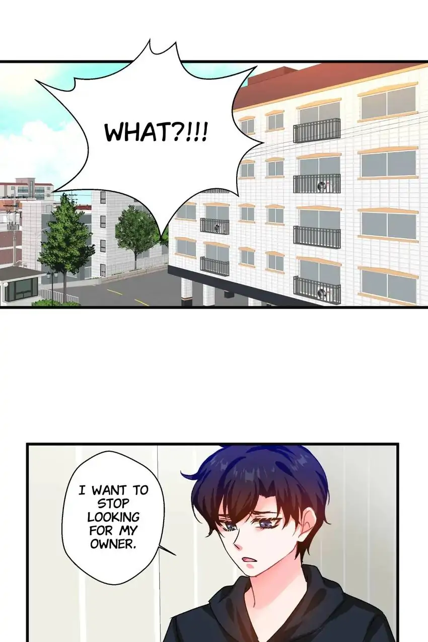 Looking For My True Owner Chapter 19 - page 35