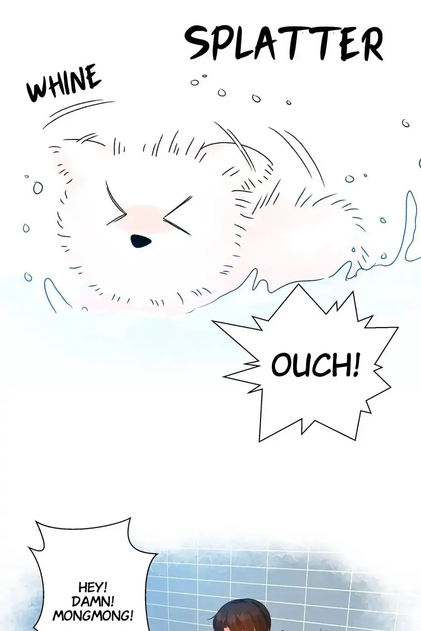 Looking For My True Owner Chapter 18 - page 14