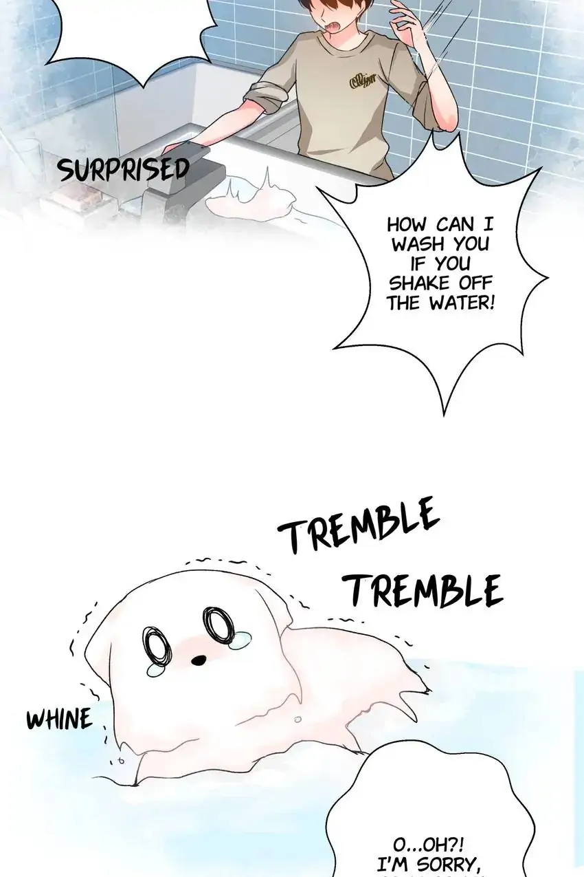 Looking For My True Owner Chapter 18 - page 15