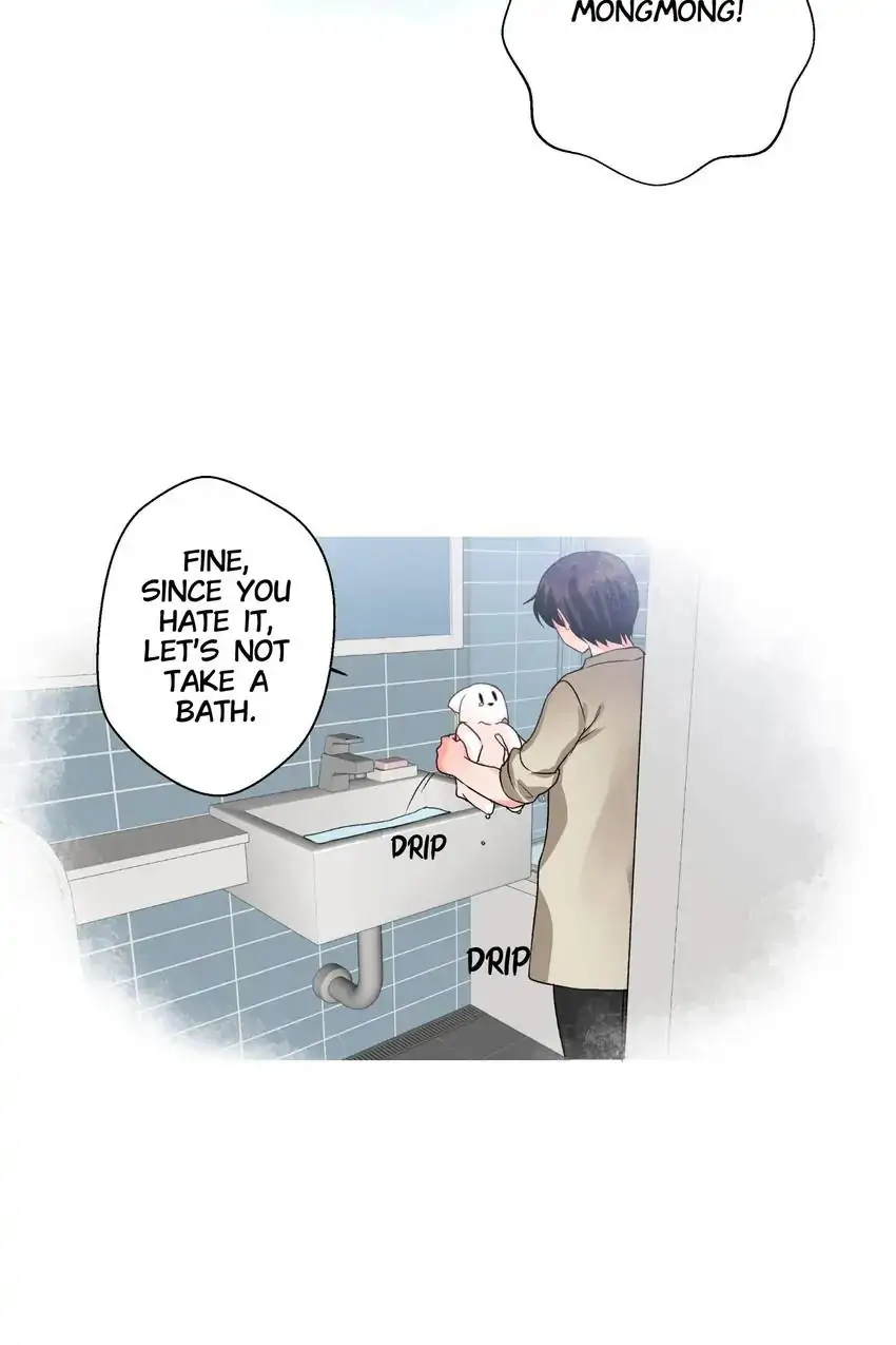 Looking For My True Owner Chapter 18 - page 16