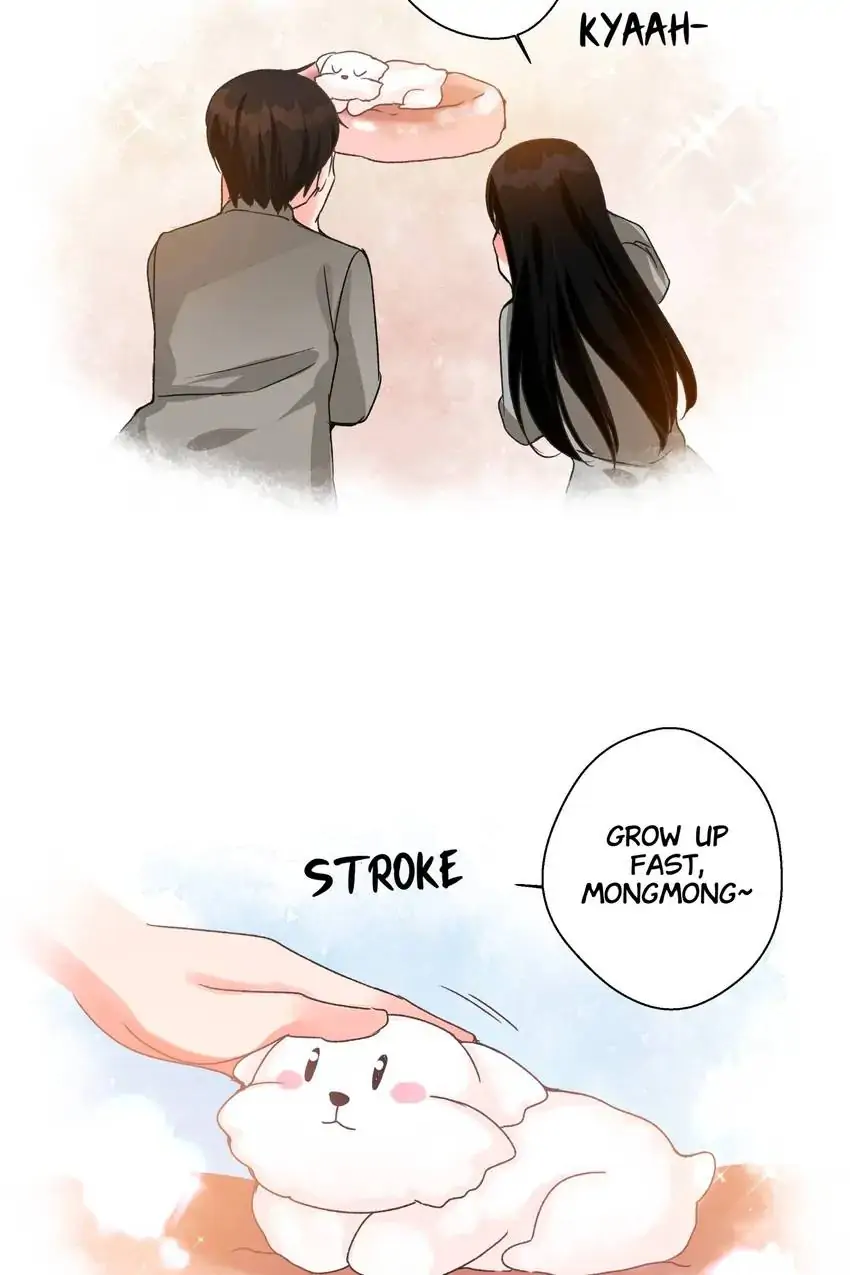 Looking For My True Owner Chapter 18 - page 2