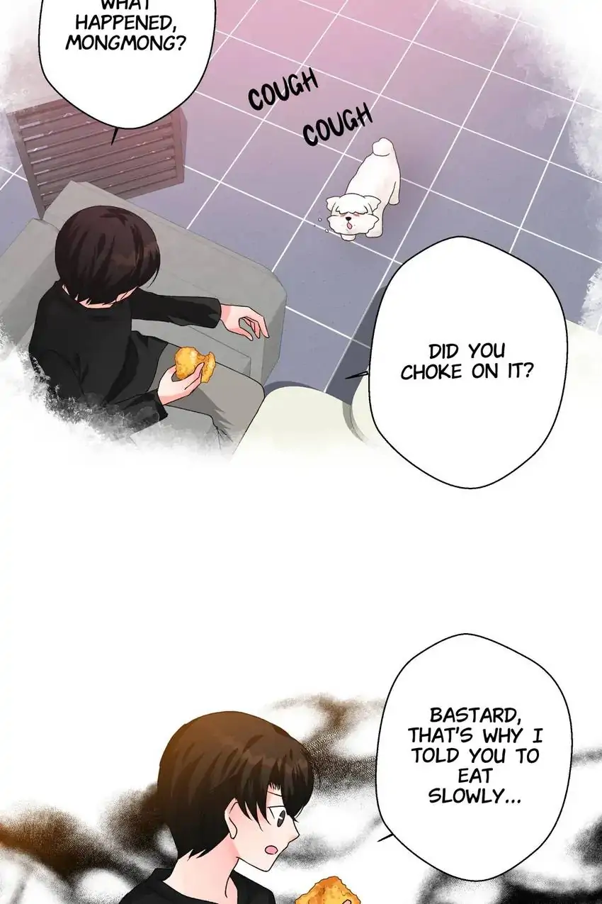 Looking For My True Owner Chapter 18 - page 33