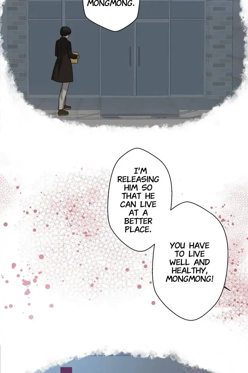 Looking For My True Owner Chapter 18 - page 54