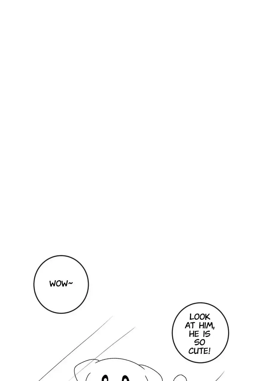 Looking For My True Owner Chapter 17 - page 39