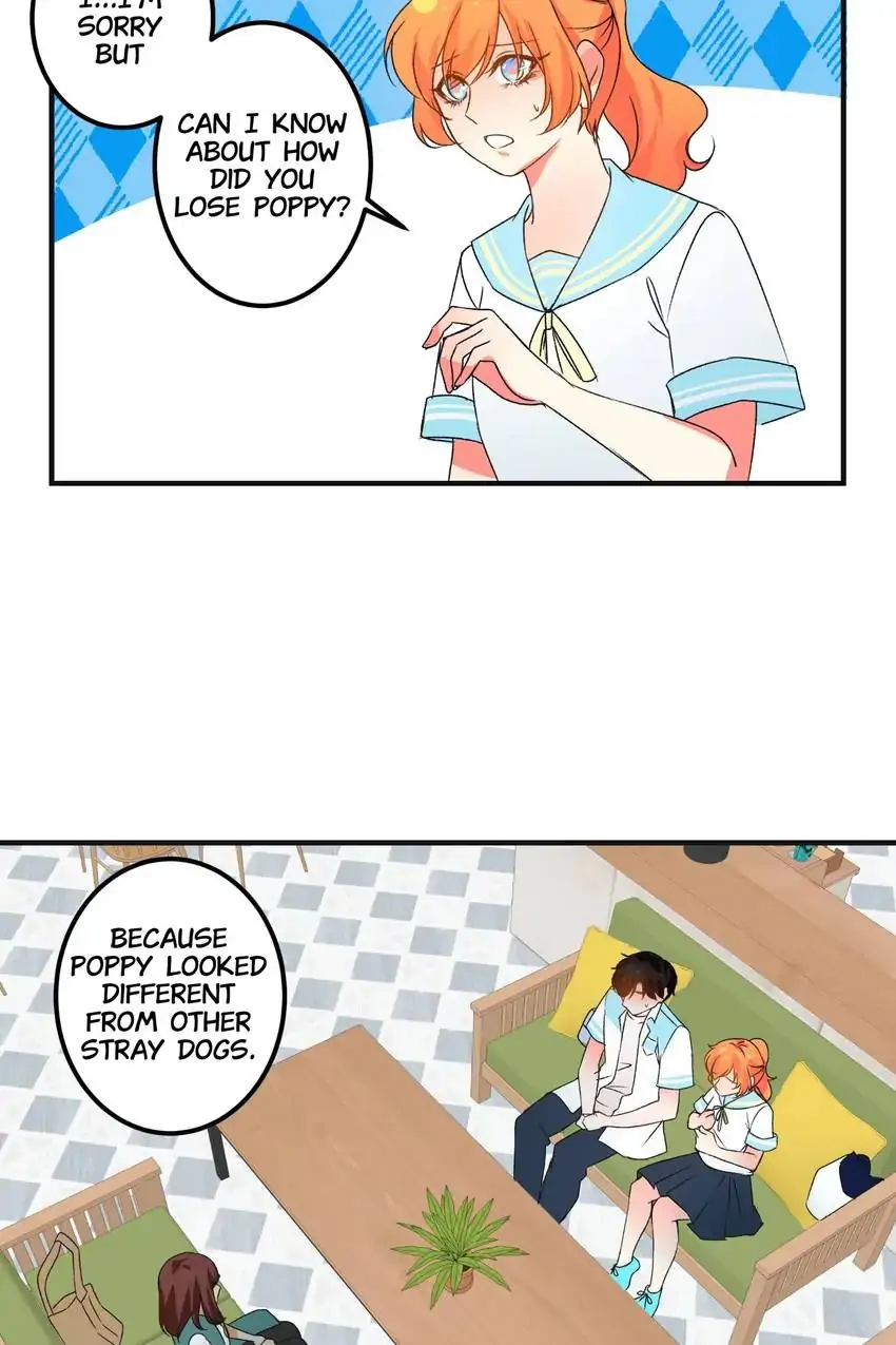 Looking For My True Owner Chapter 10 - page 15