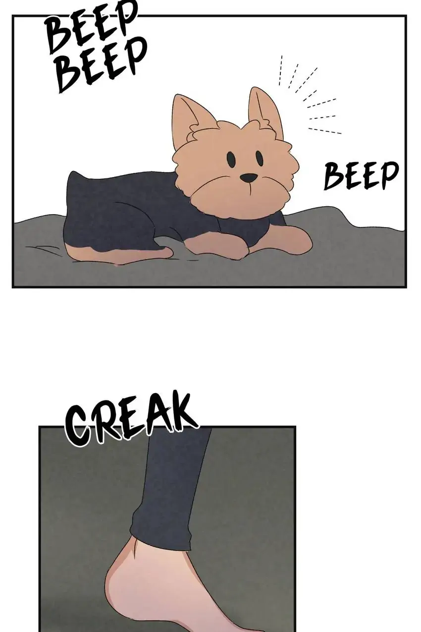 Looking For My True Owner Chapter 10 - page 20