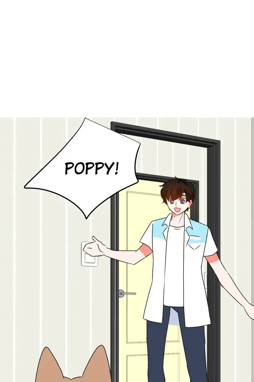 Looking For My True Owner Chapter 10 - page 39