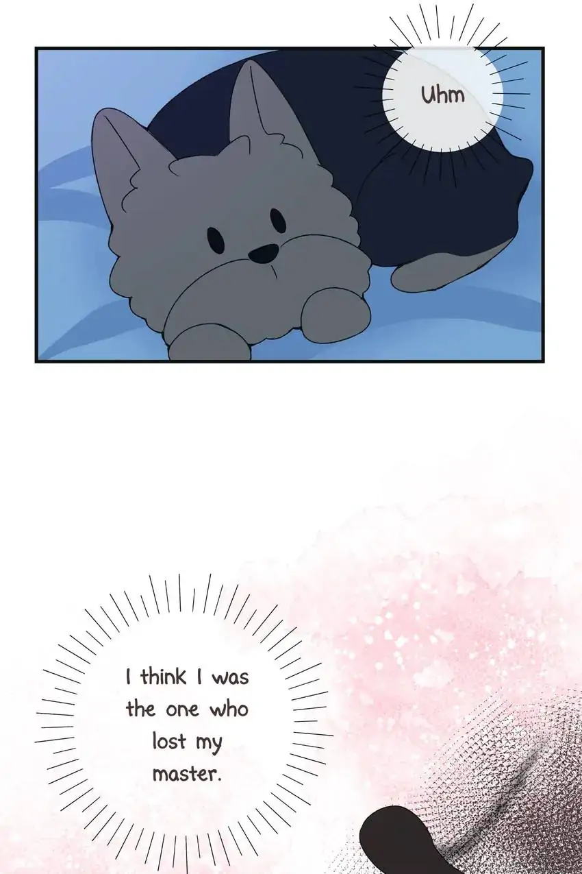 Looking For My True Owner Chapter 10 - page 4