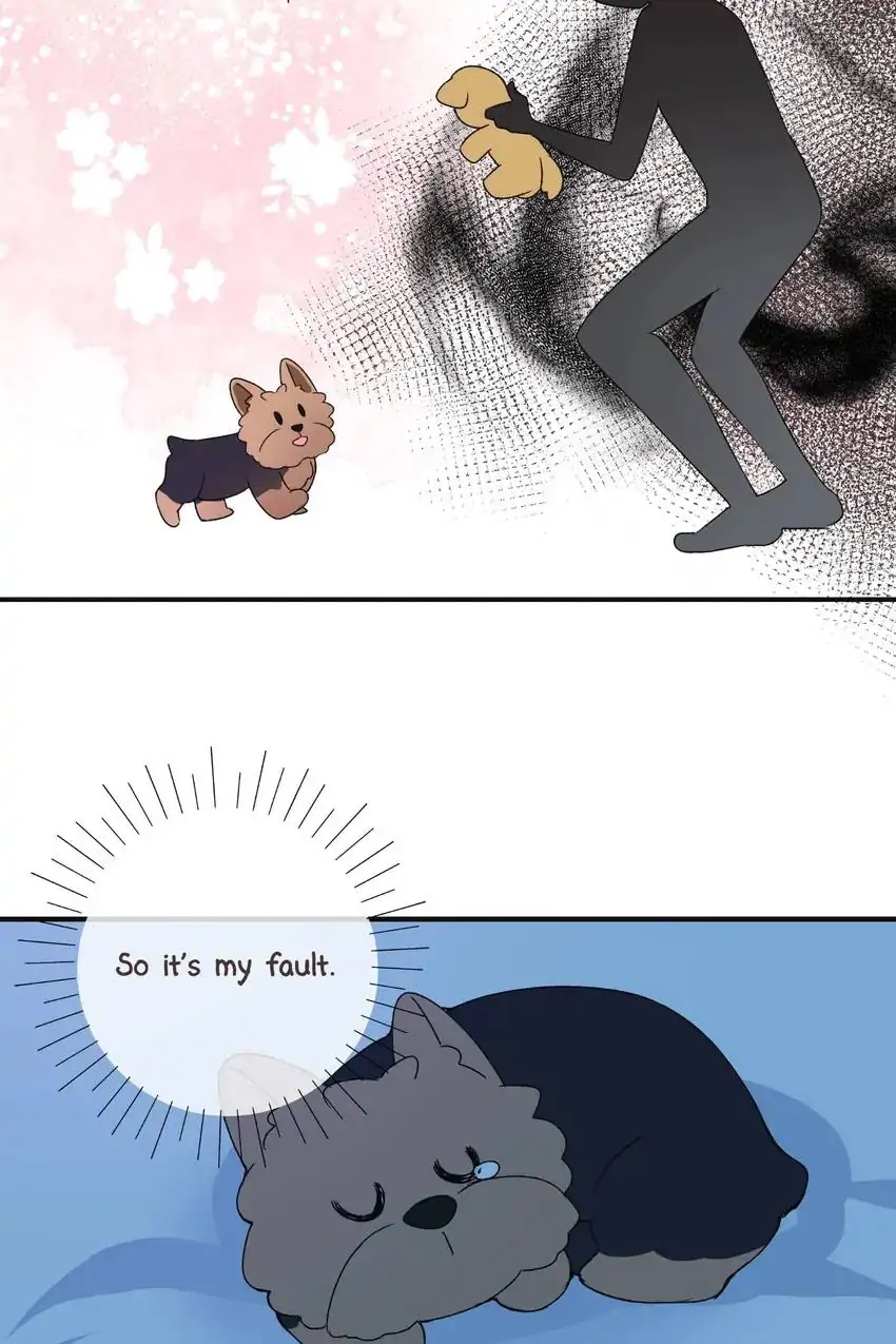 Looking For My True Owner Chapter 10 - page 5