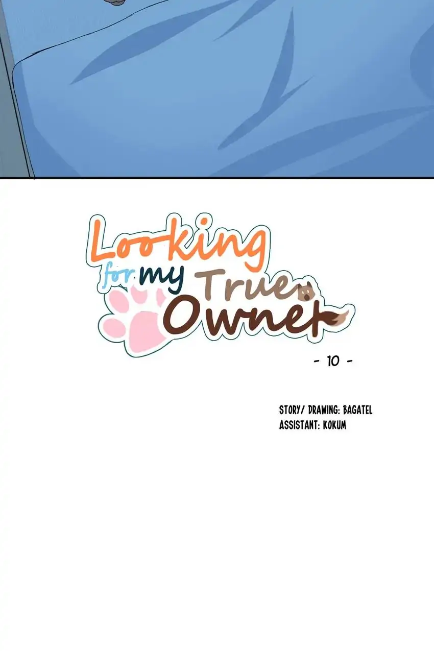 Looking For My True Owner Chapter 10 - page 8