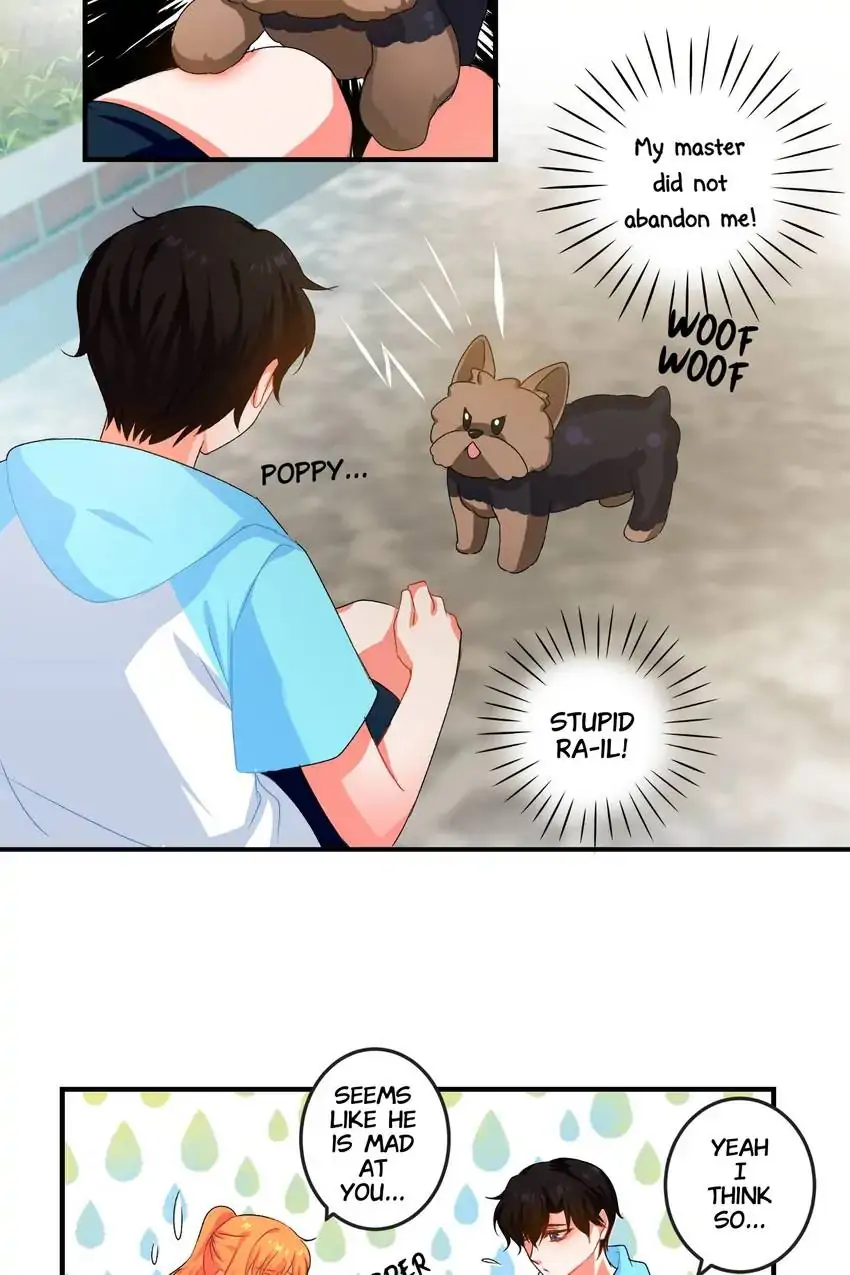 Looking For My True Owner Chapter 8 - page 29