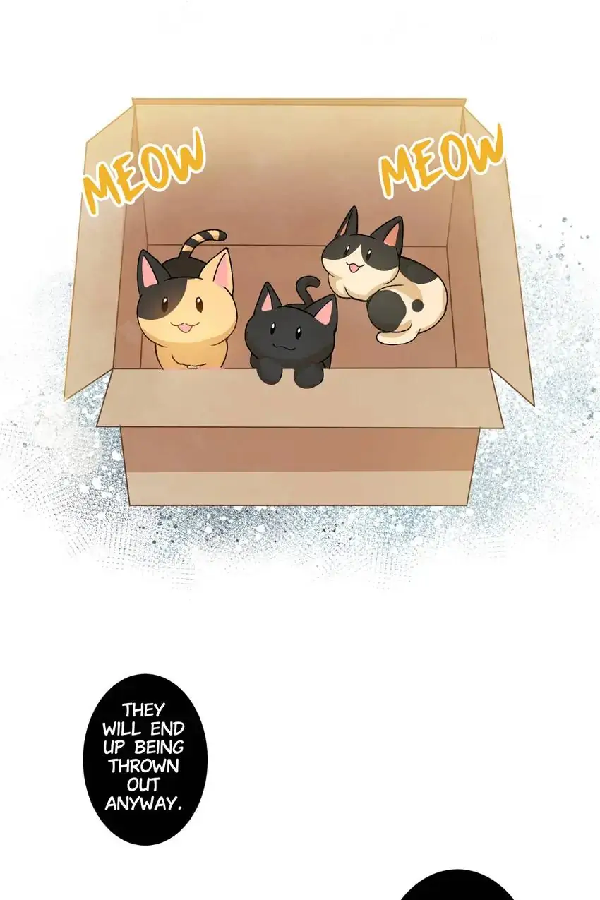 Looking For My True Owner Chapter 8 - page 4