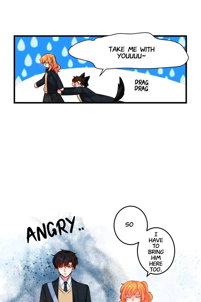 Looking For My True Owner Chapter 7 - page 11