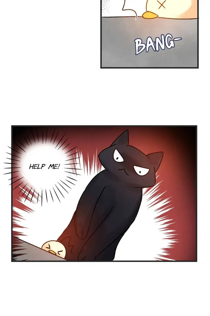 Looking For My True Owner Chapter 5 - page 22