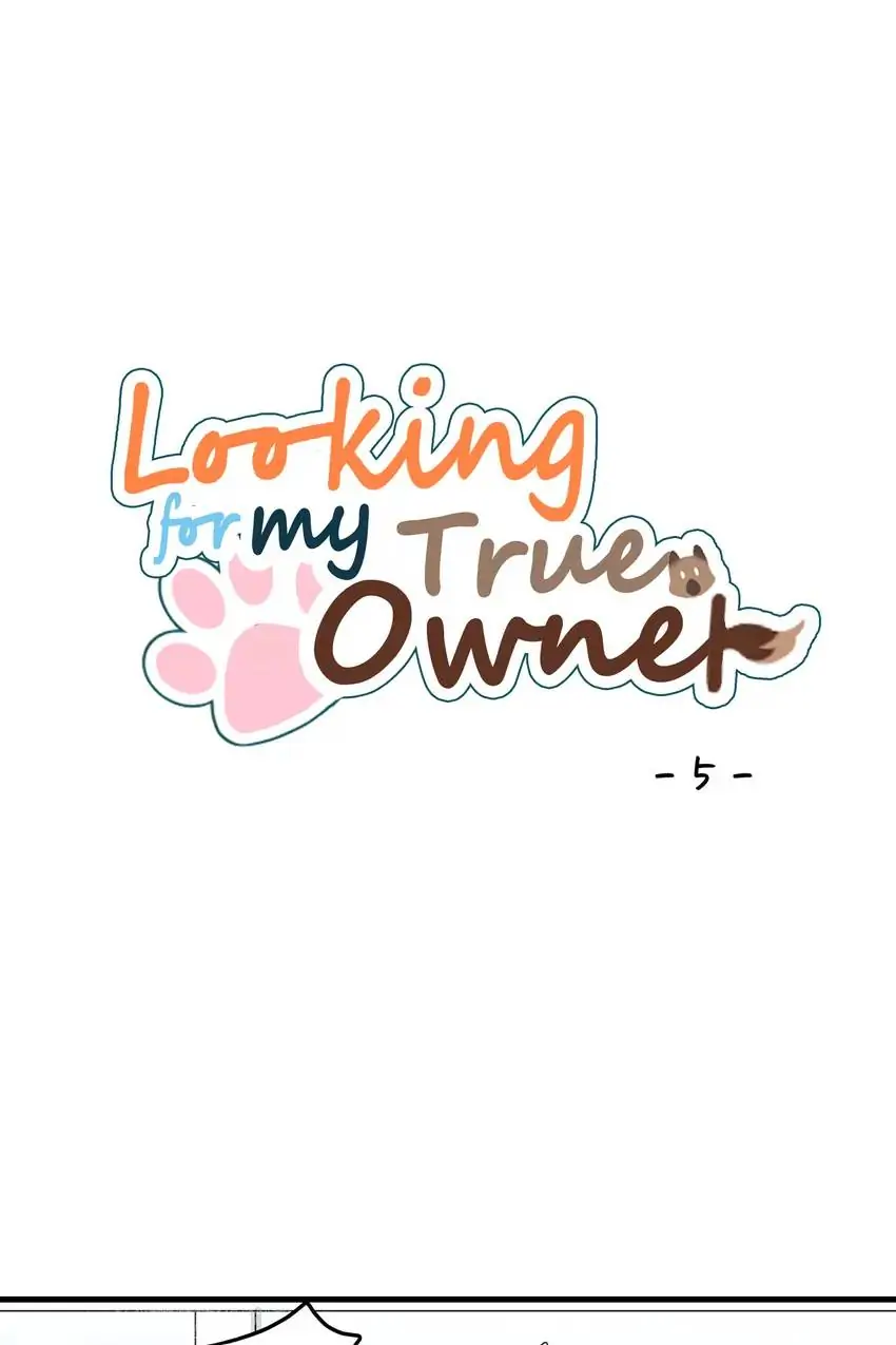 Looking For My True Owner Chapter 5 - page 5