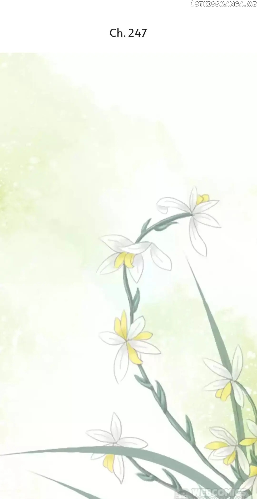A Beauty, a Fatal Concubine chapter 247 - page 1