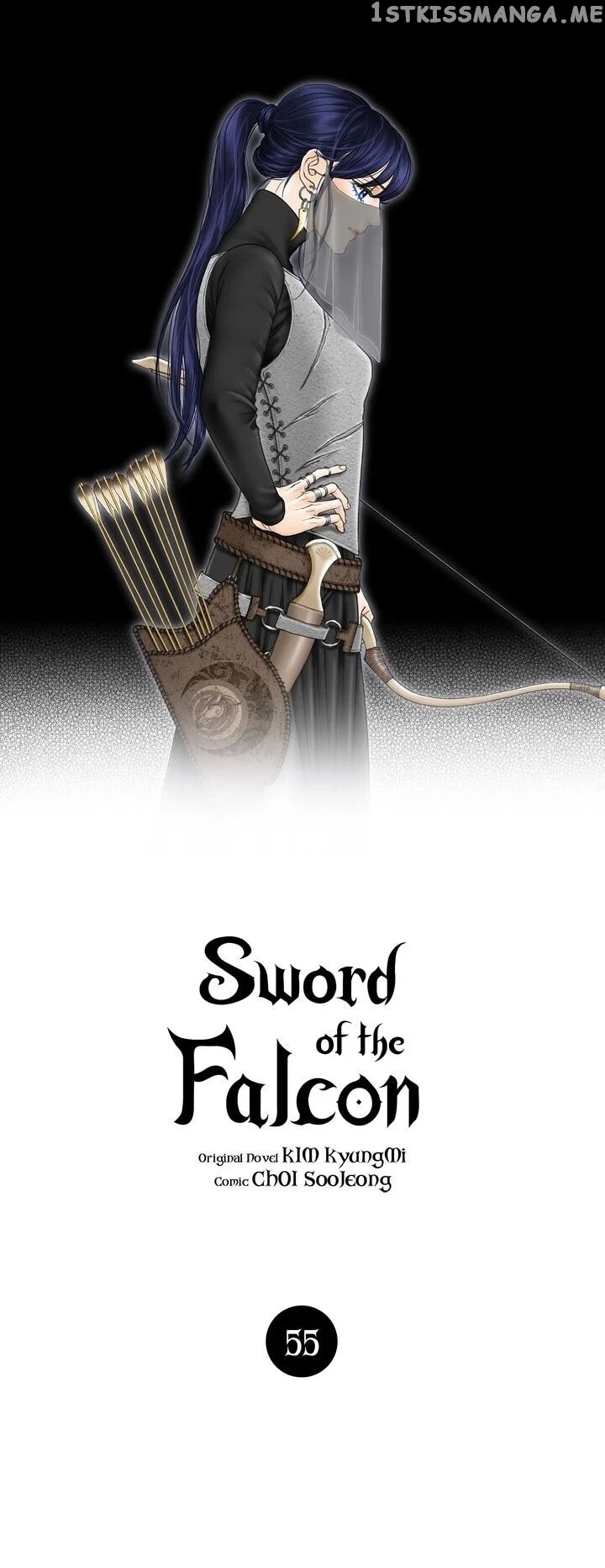 Sword of the Falcon chapter 55 - page 1