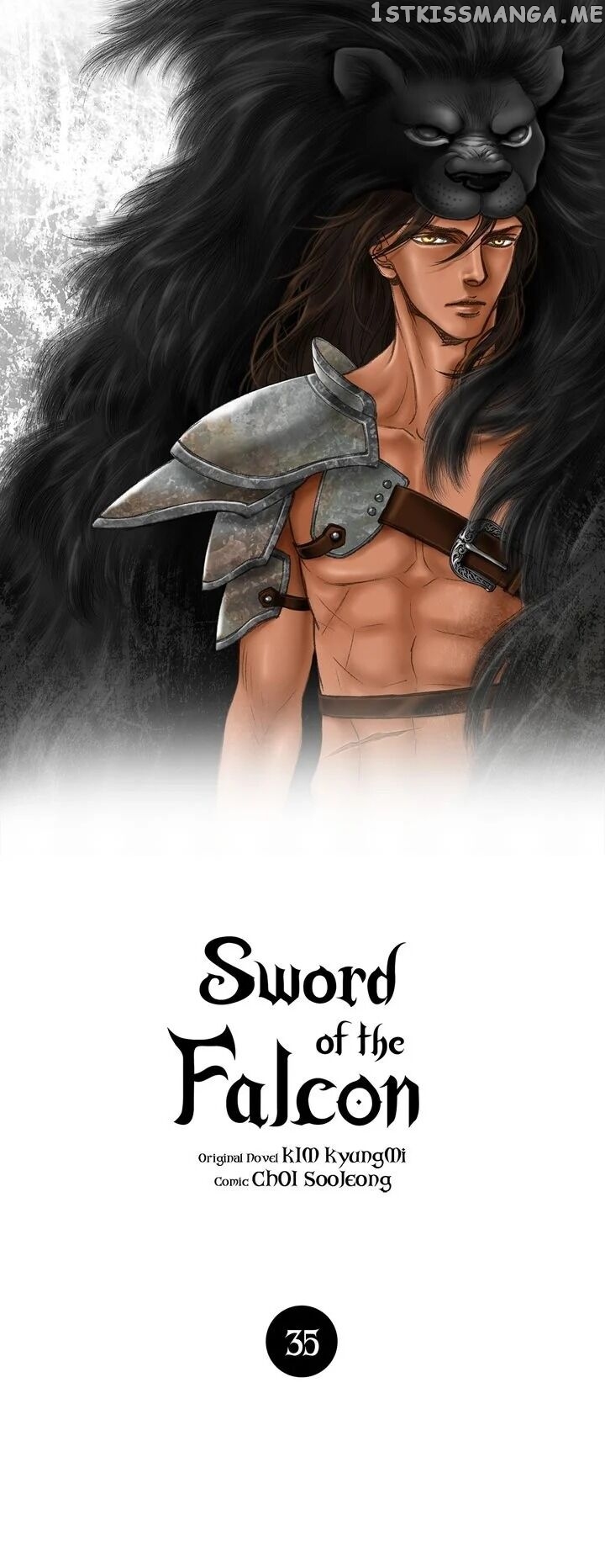 Sword of the Falcon chapter 35 - page 1