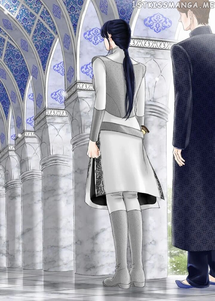 Sword of the Falcon chapter 27 - page 3