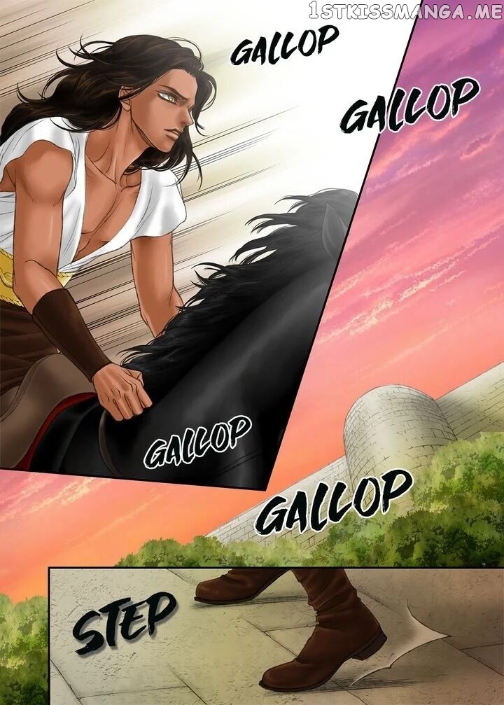 Sword of the Falcon chapter 20 - page 8