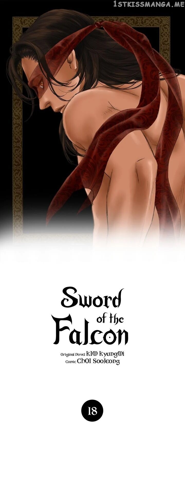 Sword of the Falcon chapter 18 - page 1