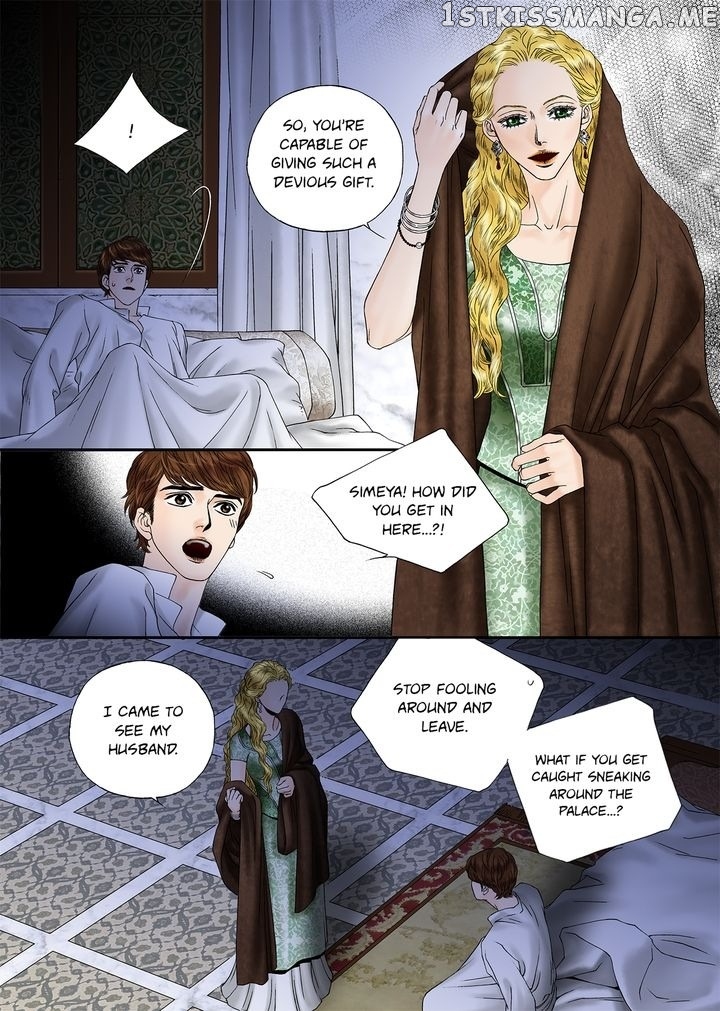 Sword of the Falcon chapter 4 - page 12