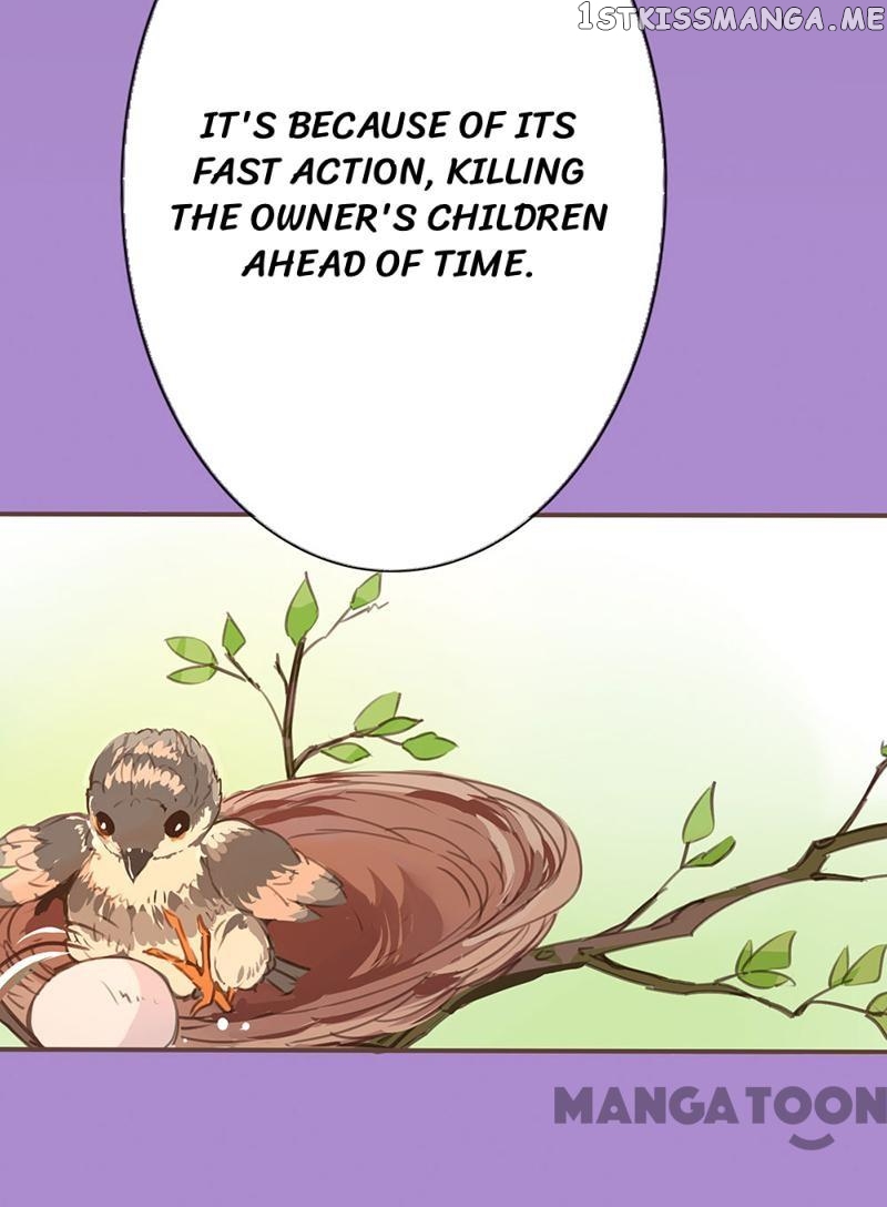 Schemes of a Beauty chapter 36 - page 48