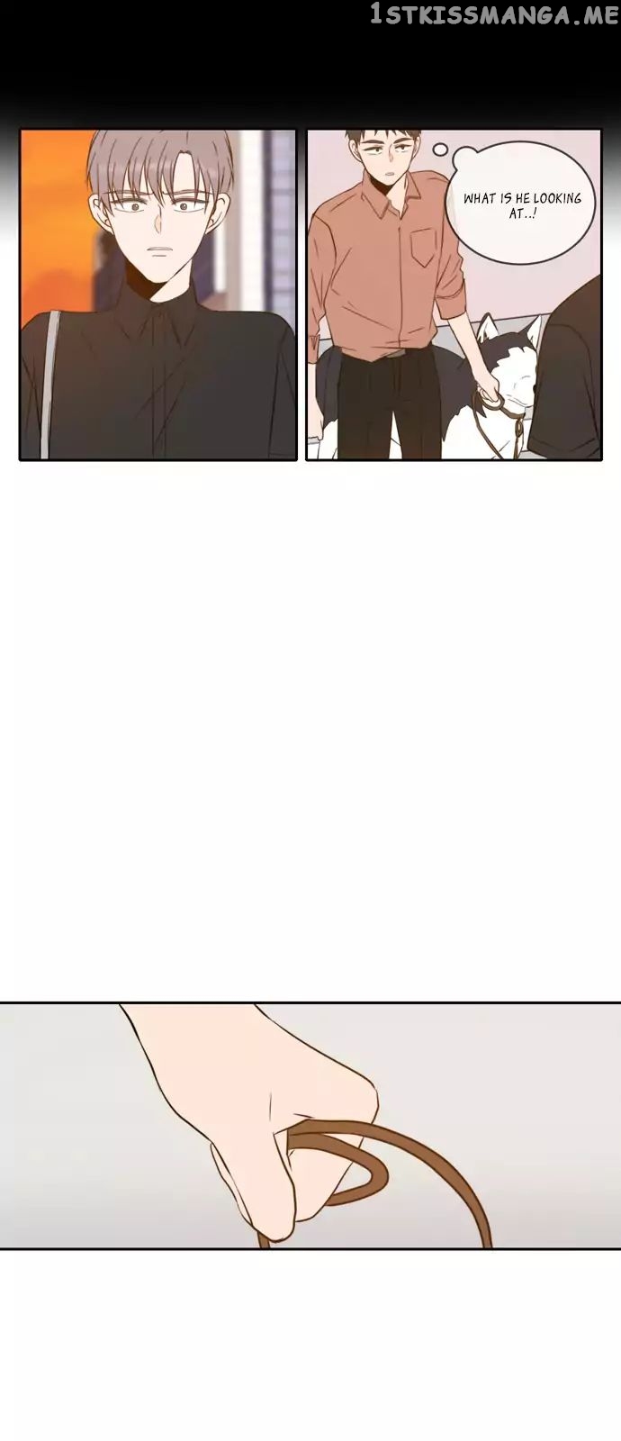 A Good Day to Be a Dog chapter 54 - page 11