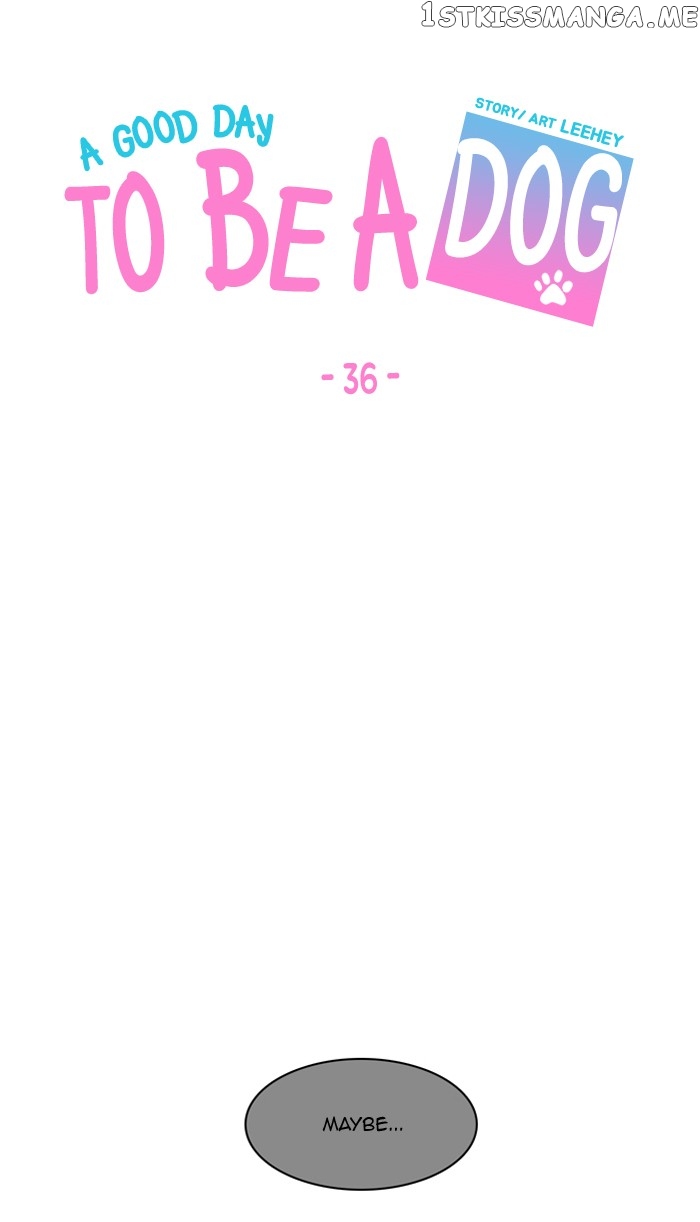A Good Day to Be a Dog chapter 36 - page 49