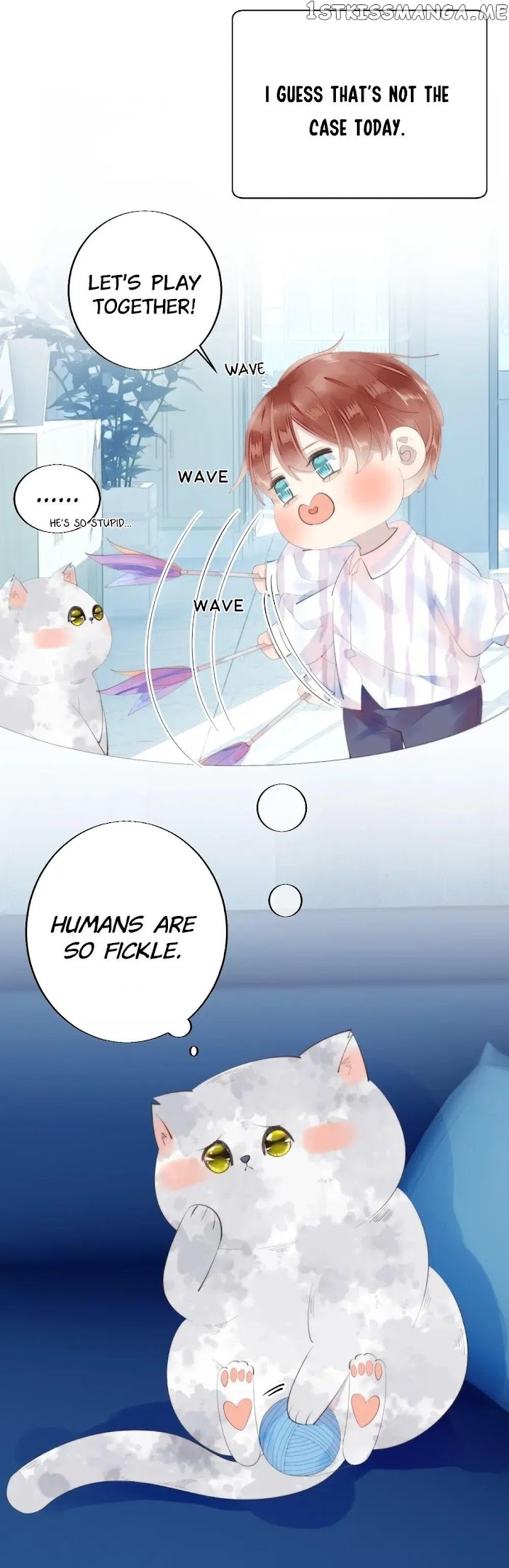 This Stray Cat Ain’t Straight chapter 14 - page 4