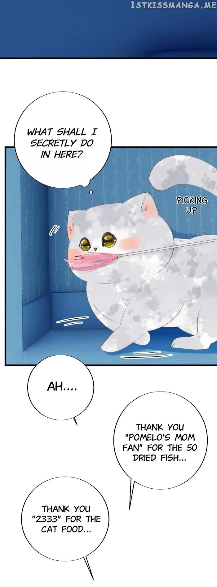 This Stray Cat Ain’t Straight chapter 14 - page 5