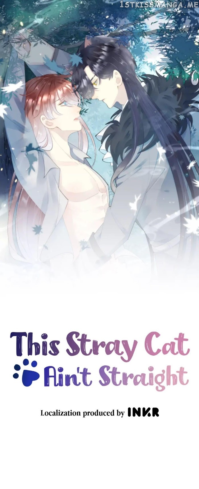 This Stray Cat Ain’t Straight chapter 13 - page 1