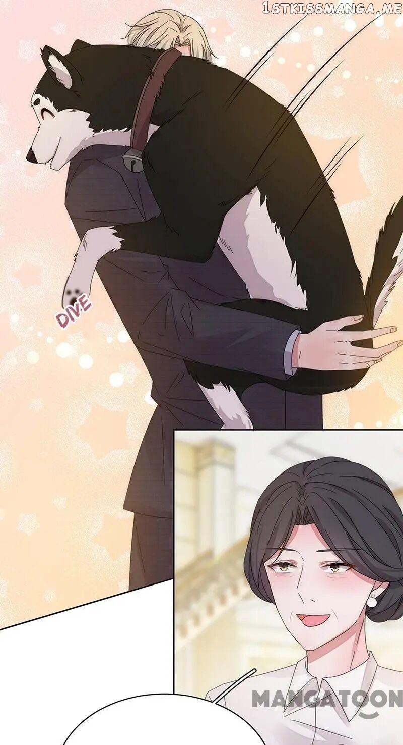 Evolution of a Perfect Hubby chapter 151 - page 20