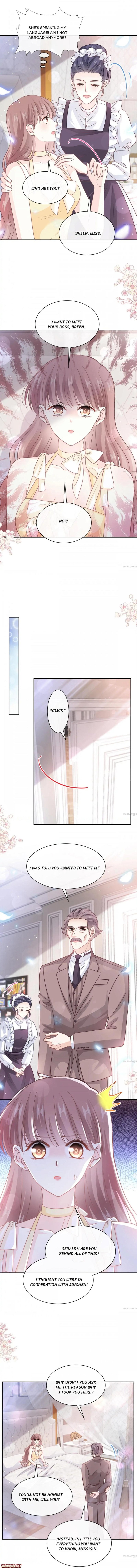 Love Me Gently, Bossy CEO chapter 281 - page 5