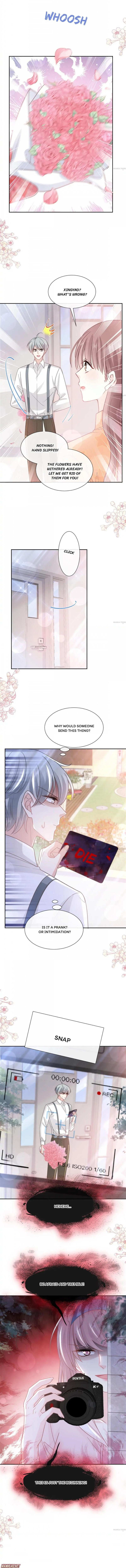 Love Me Gently, Bossy CEO chapter 265 - page 5