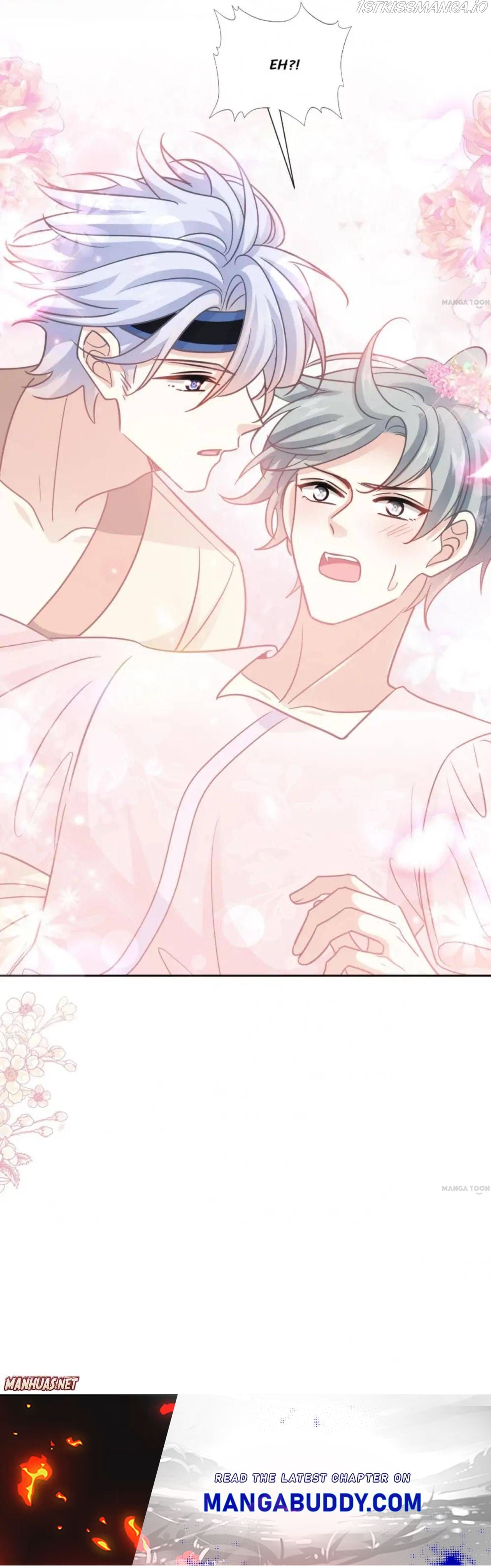 Love Me Gently, Bossy CEO chapter 244 - page 5