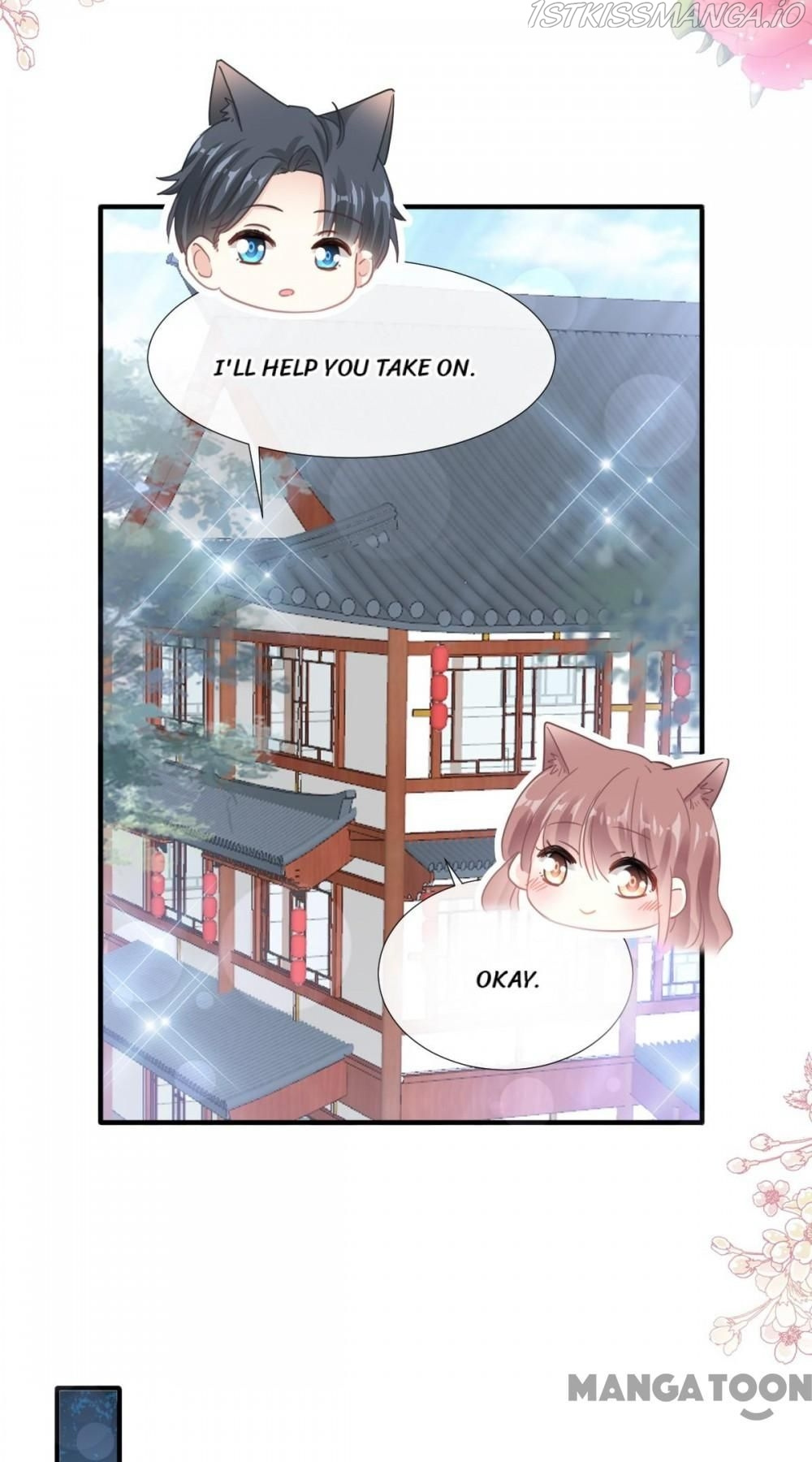 Love Me Gently, Bossy CEO chapter 242 - page 8