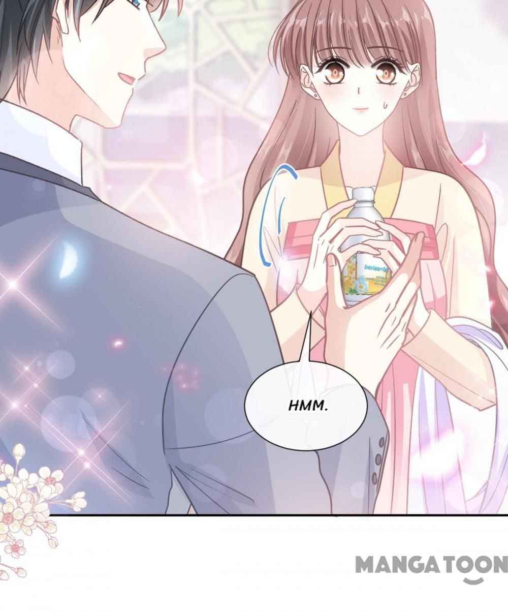Love Me Gently, Bossy CEO chapter 241 - page 4