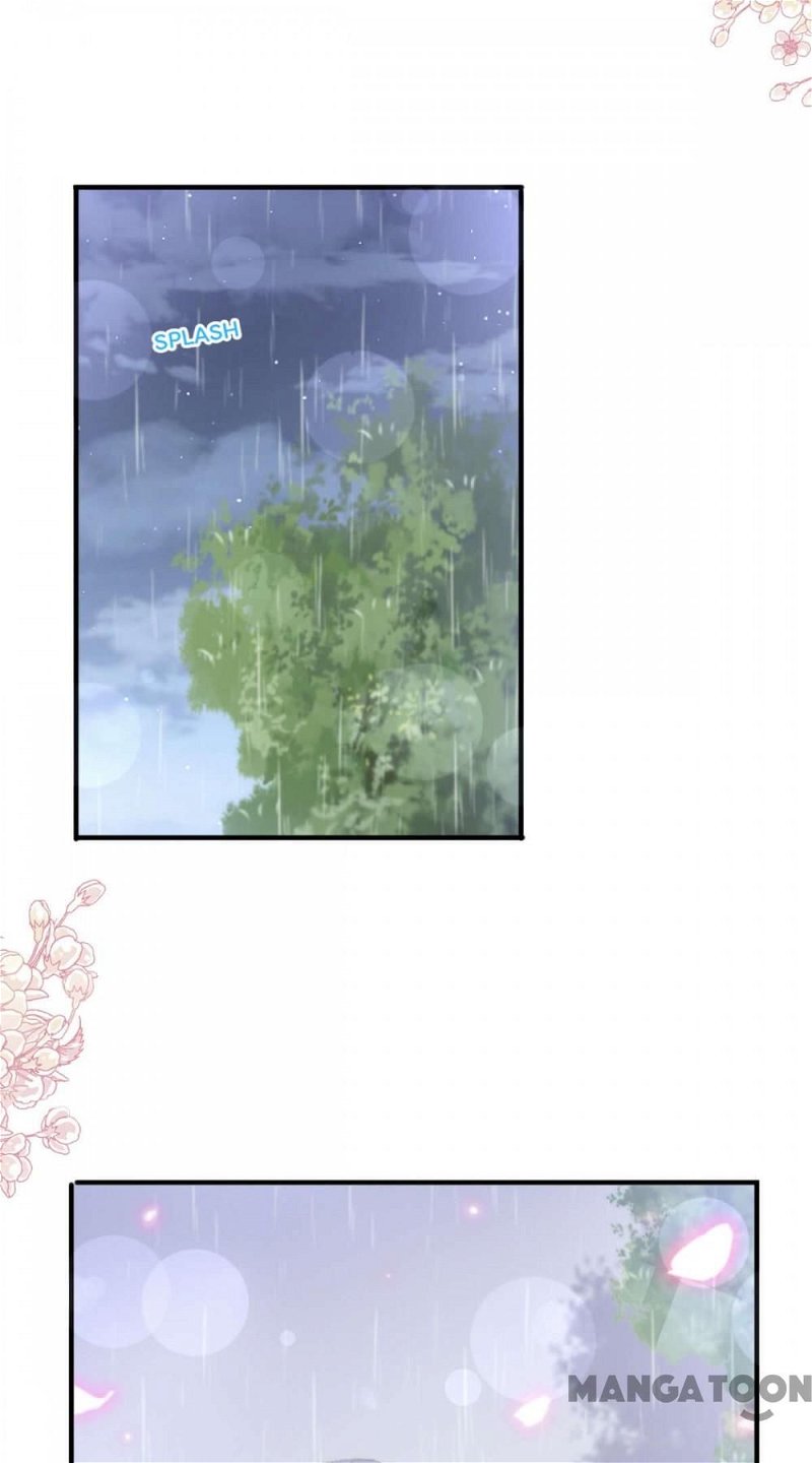 Love Me Gently, Bossy CEO chapter 237 - page 14