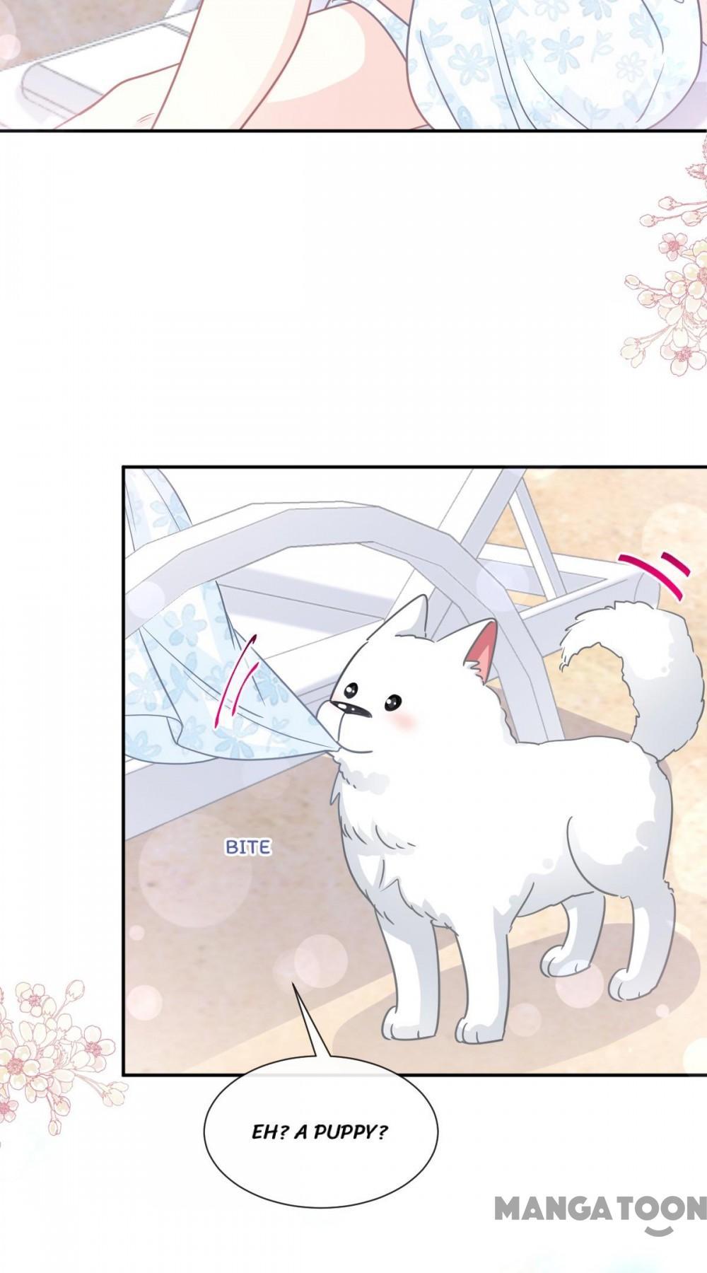 Love Me Gently, Bossy CEO chapter 163 - page 32