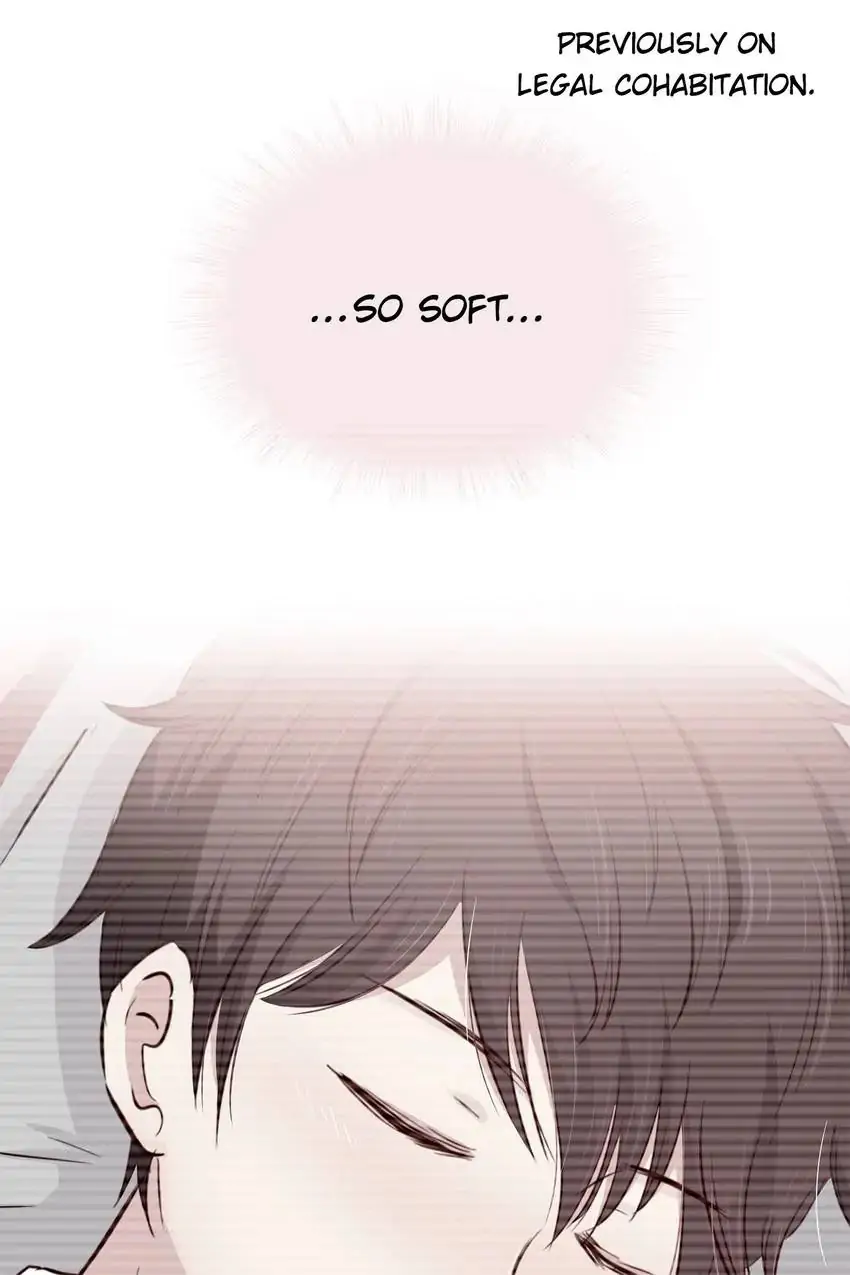 Legal Cohabitation Chapter 105 - page 1